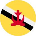 bruneisk dollar